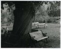 100 Yrs Old, Sit. Listen (Week Ends)