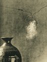 vase and seed pod