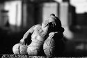 Exotic Lady Asleep In The Afternoon Sun