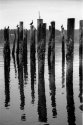 Old ferry terminal pilings