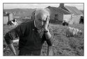 Hebredian sheep farmer