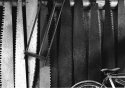 Saws and bike.