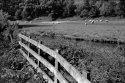 The Essence Of Wales