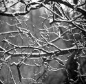 Finally Winter Exposure no. 3