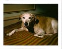 Testing Polaroid 104