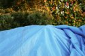 blue tarp and afternoon sun
