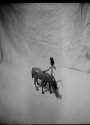 hats and horses