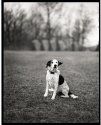 Wind in your ears