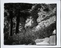 Beneath Squaw Lake