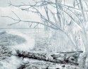 fallen iced trunk