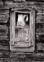 Curtain, Abandoned House