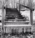 Iced Steps
