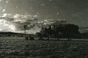 Untitled lith print #17