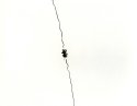 Bungee Sling