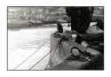 Harbour Fisherman