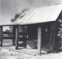 Rouse Hill Farm