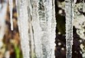 Winter Variations #5