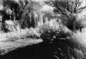 Batavia Creek