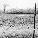 Iced Landscape