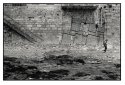 Homage to Tarkovsky