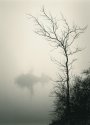 Foggy Morning, Eagle Creek