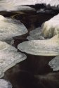 Water and Ice