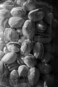 Nuts