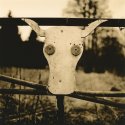 Cow-sign with reflectors