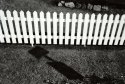 Fence