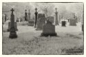 Graveyard in white 1