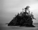 Seastack at Dawn