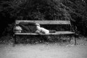 Street scenes