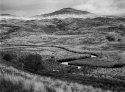 On the way to Kenmare.