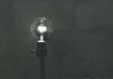 See the Light #3