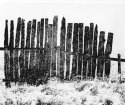 Snow Fence