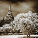 Ayutthaya 2008