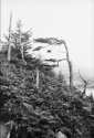 Vancouver Island