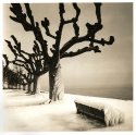Lake leman 2