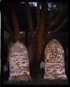 Cemetery, Cape Cod