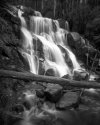 APUG Noojee outing