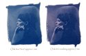 Experimental toned cyanotype