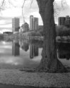 Milwaukee Lagoon IR