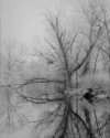 Lagoon, Infrared