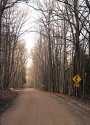 Mono Township Rd #3