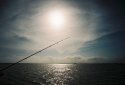 the fishing life