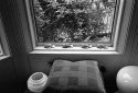 M Bay Window