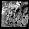 Kodak Brownie Hawkeye