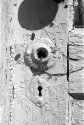 Orwo UN54 in Adox Adonal (Rodinal) no. 2