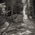 Isle of Springs, ME