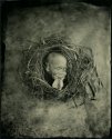 Incubated -1